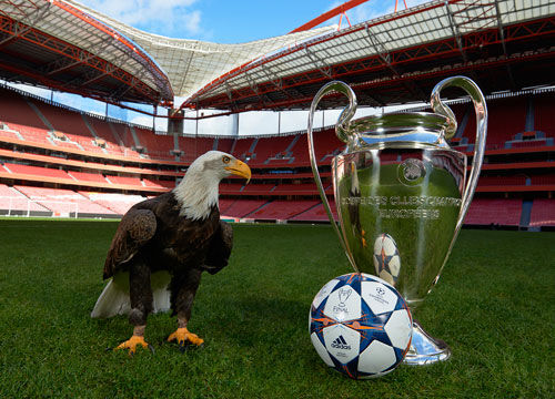 体系锚点 体系锚点