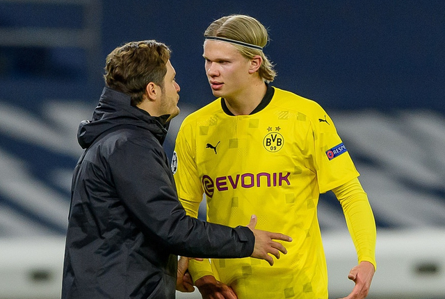 南虎需把防 南虎需把防